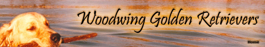 Woodwing Golden Retrievers Banner